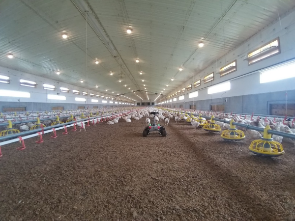 Leo Rover driving across a poultry farm