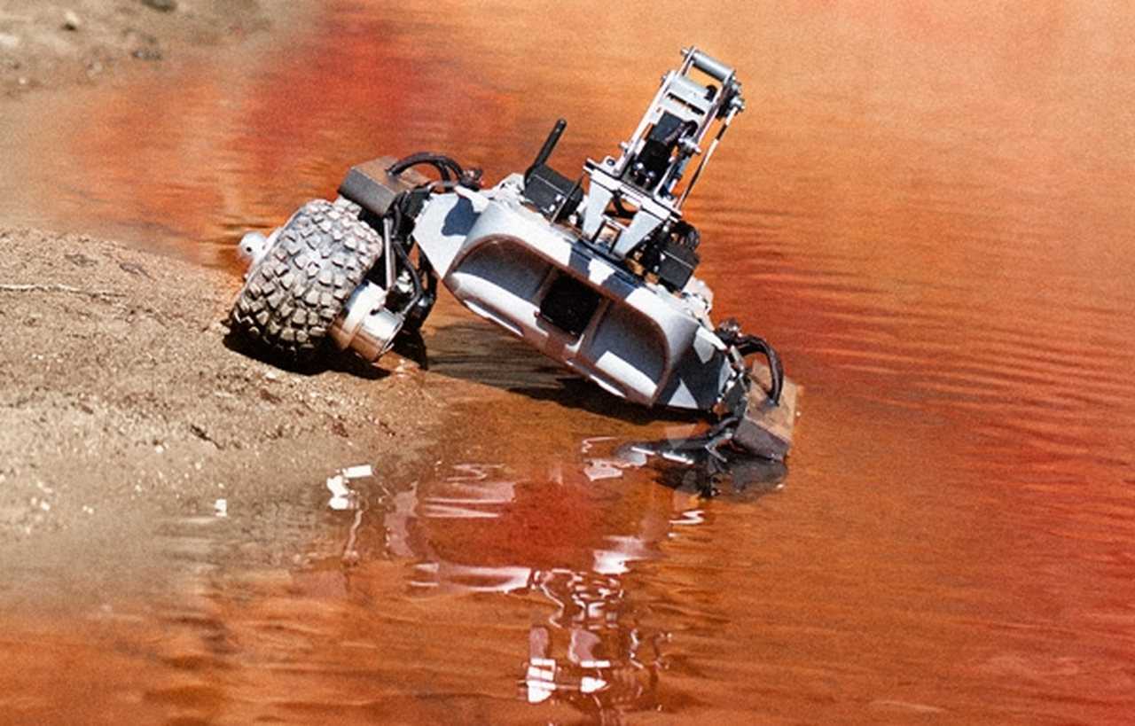 Turtle driving in water