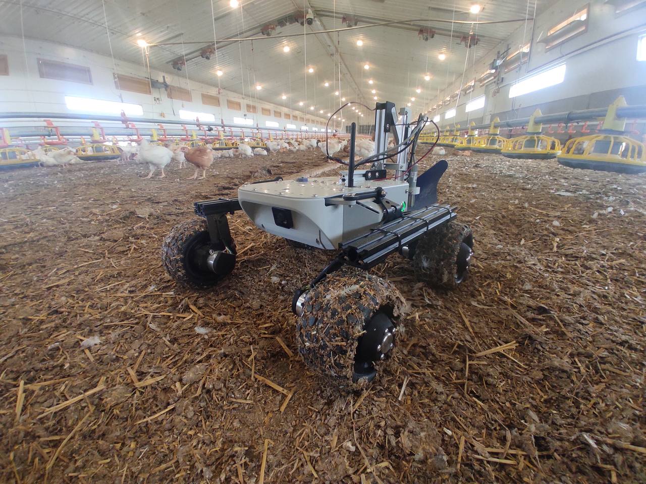 FLOX's Leo Rover in a chicken shed