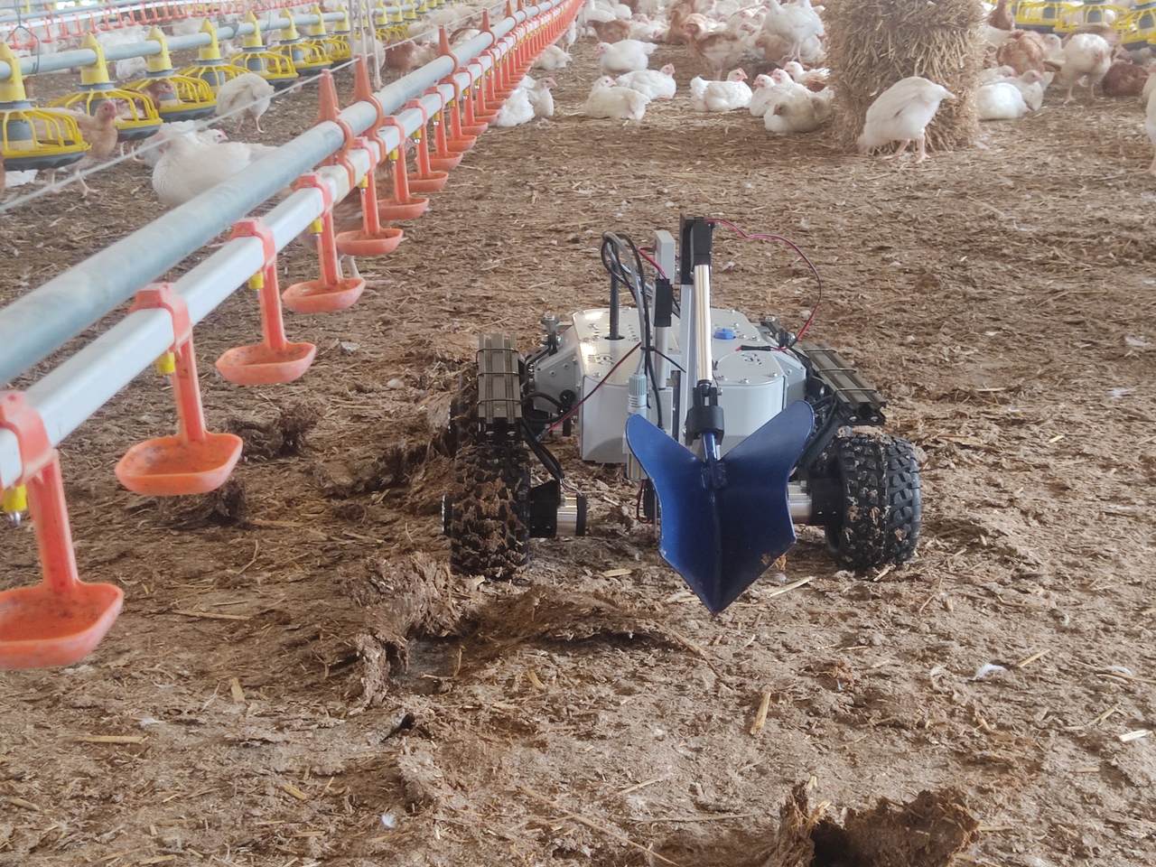 Leo Rover with a plow in a chicken shed